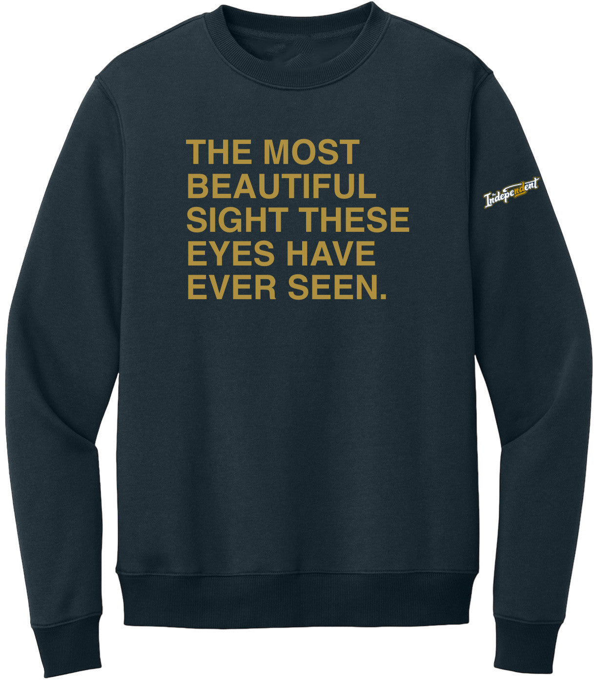 OBVIOUS SHIRTS Merch The Most Beautiful Sight Sweatshirt Gifts For Father In Law - Lilybirchmarket