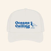 Oceans Calling Merch Seagull Hat Christmas Gifts For Boyfriend - Lilybirchmarket