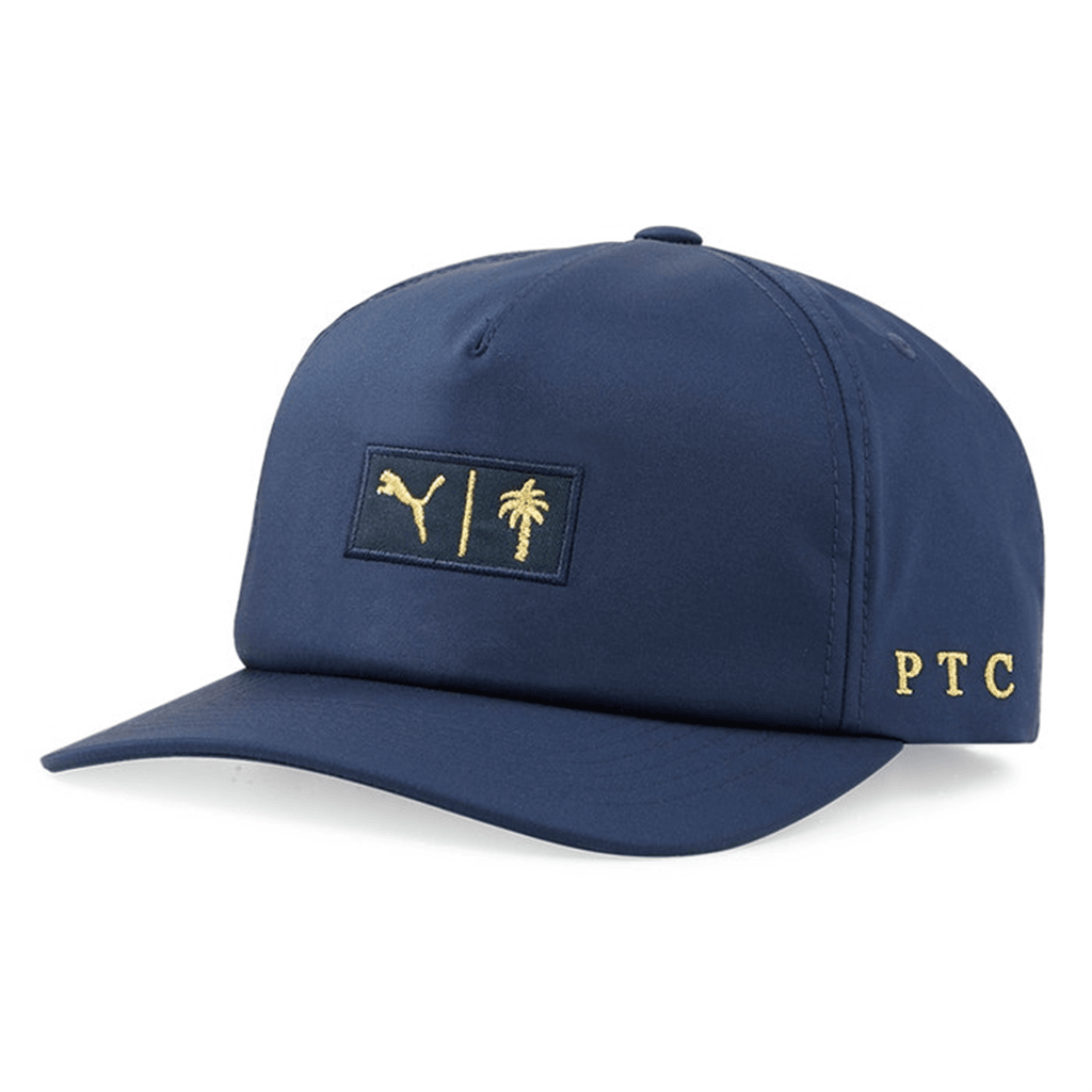 Palm Tree Crew Hat PTC Hat Summer Gift for Father Cool Outdoor Hat for Dad - Lilybirchmarket