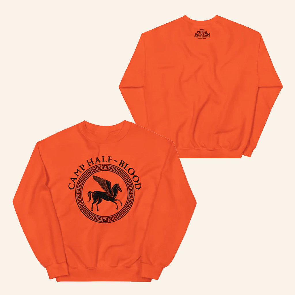 Percy Jackson Merch Camp Half Blood Sweatshirt Percy Jackson And The Olympians Merch Gifts - Lilybirchmarket