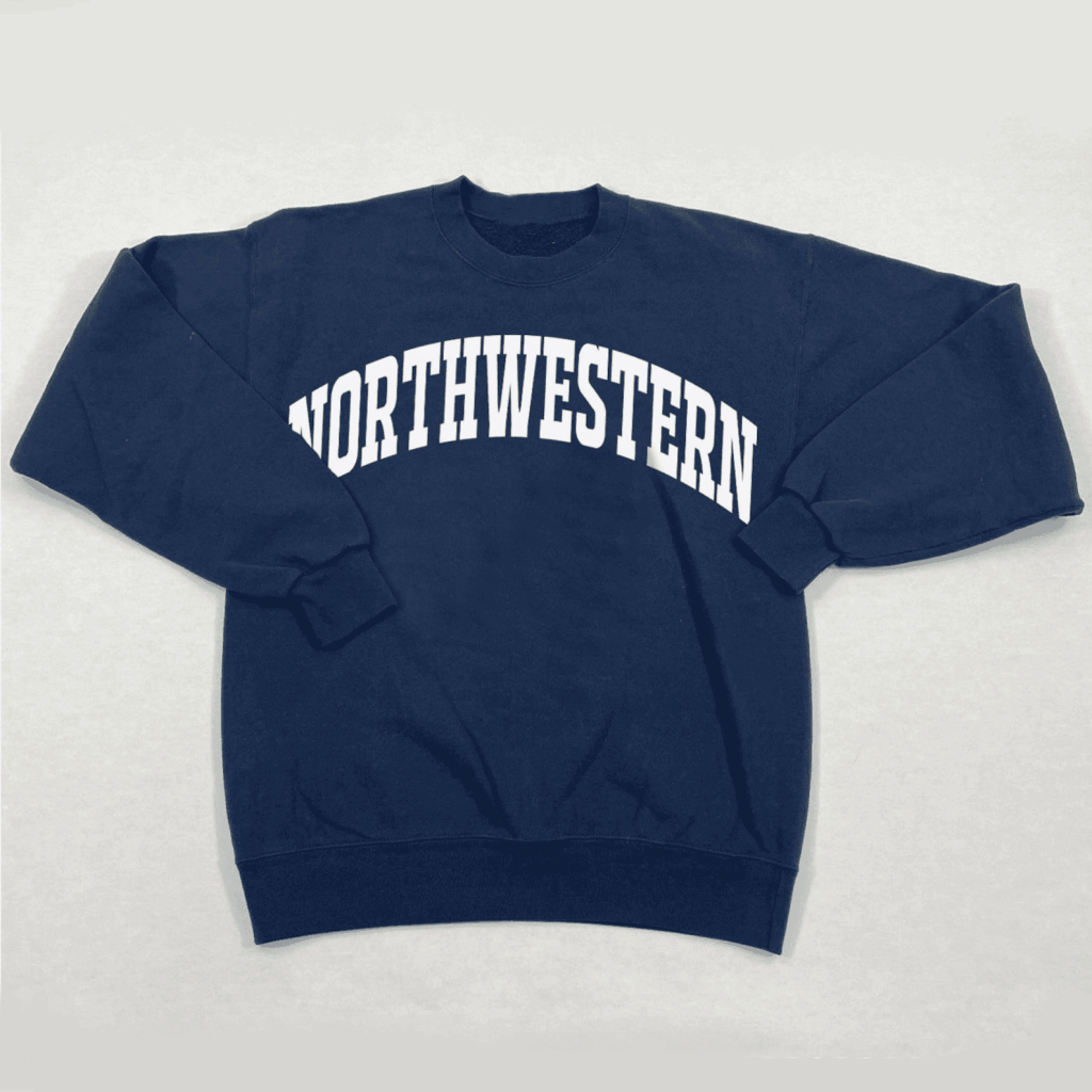 Princess Diana Northwestern Sweatshirt Princess Diana Merch Gifts For Fan - Lilybirchmarket