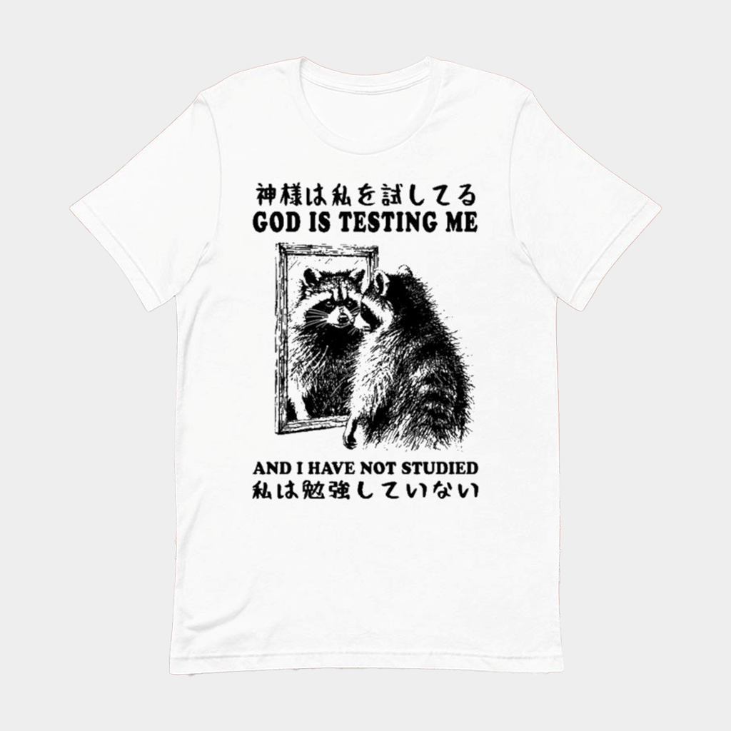 Raccoon God Is Testing Me And I Have Not Studied T-Shirt Gifts For Son - Lily Birch Market