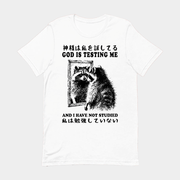 Raccoon God Is Testing Me And I Have Not Studied T-Shirt Gifts For Son - Lily Birch Market