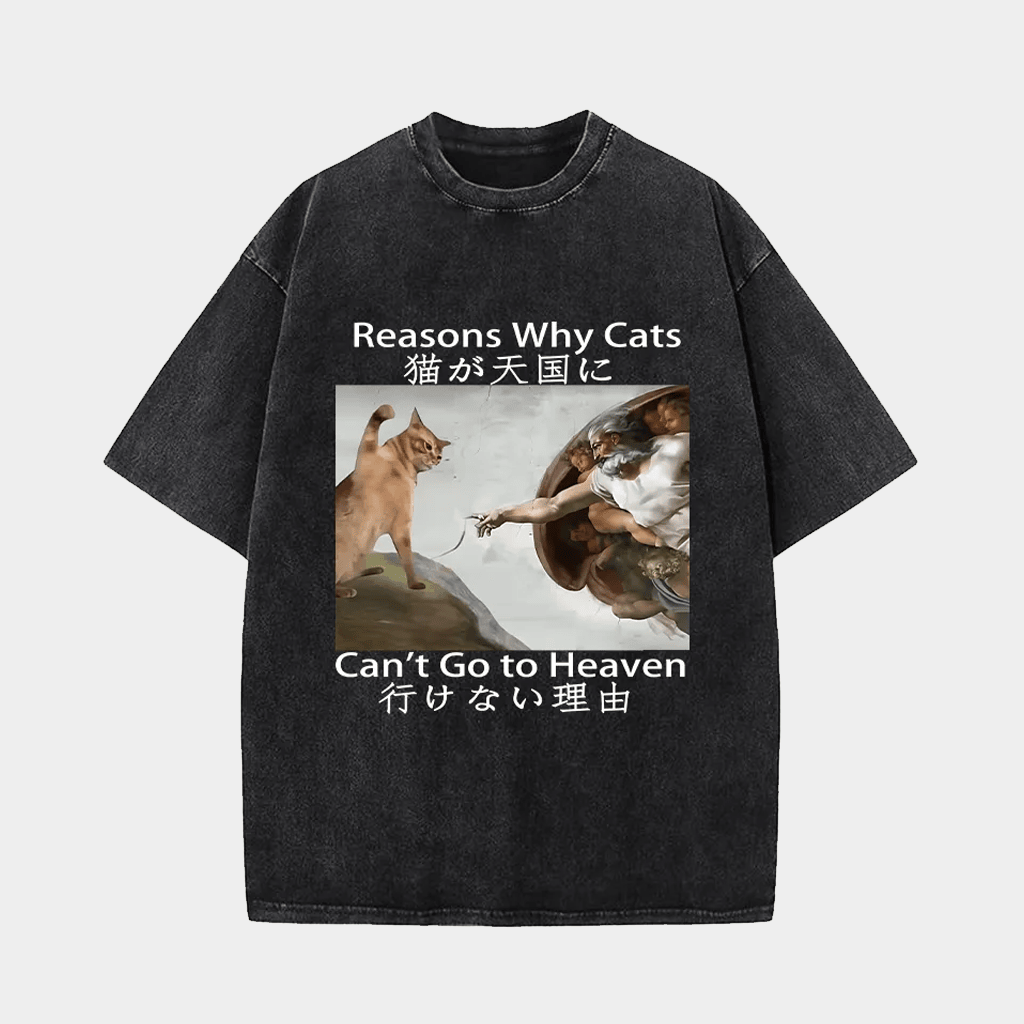 Reasons Why Cats Cat Can't Go To Heaven Wash T-Shirt Funny Tees Gifts For Cat Lovers - Lily Birch Market
