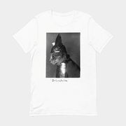Royal Cat Brunnhilde Armor T-Shirt Birthday Gift For Friends - Lily Birch Market