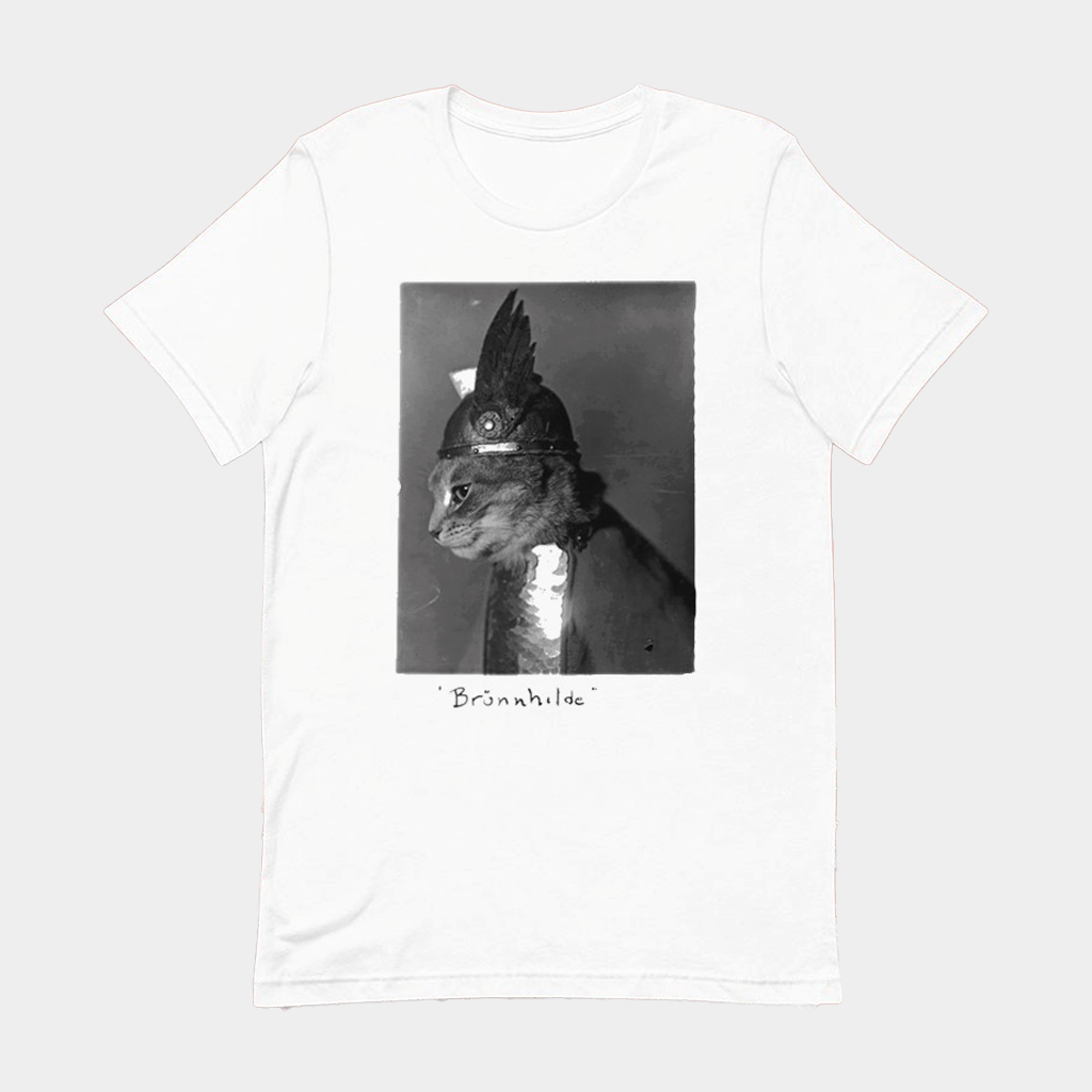 Royal Cat Brunnhilde Armor T-Shirt Birthday Gift For Friends - Lily Birch Market