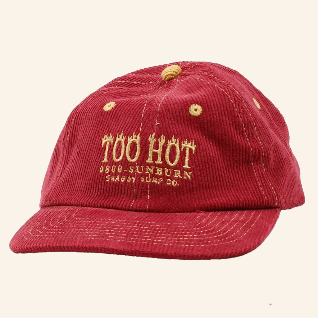 Shaggy Merch Too Hot Embroidered Hat Gifts Ideas For Boyfriend - Lilybirchmarket