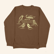 Small Orbit Merch Birds Of The Ridgewood Reservoir Sweatshirt Great Gifts For Mom - Lilybirchmarket