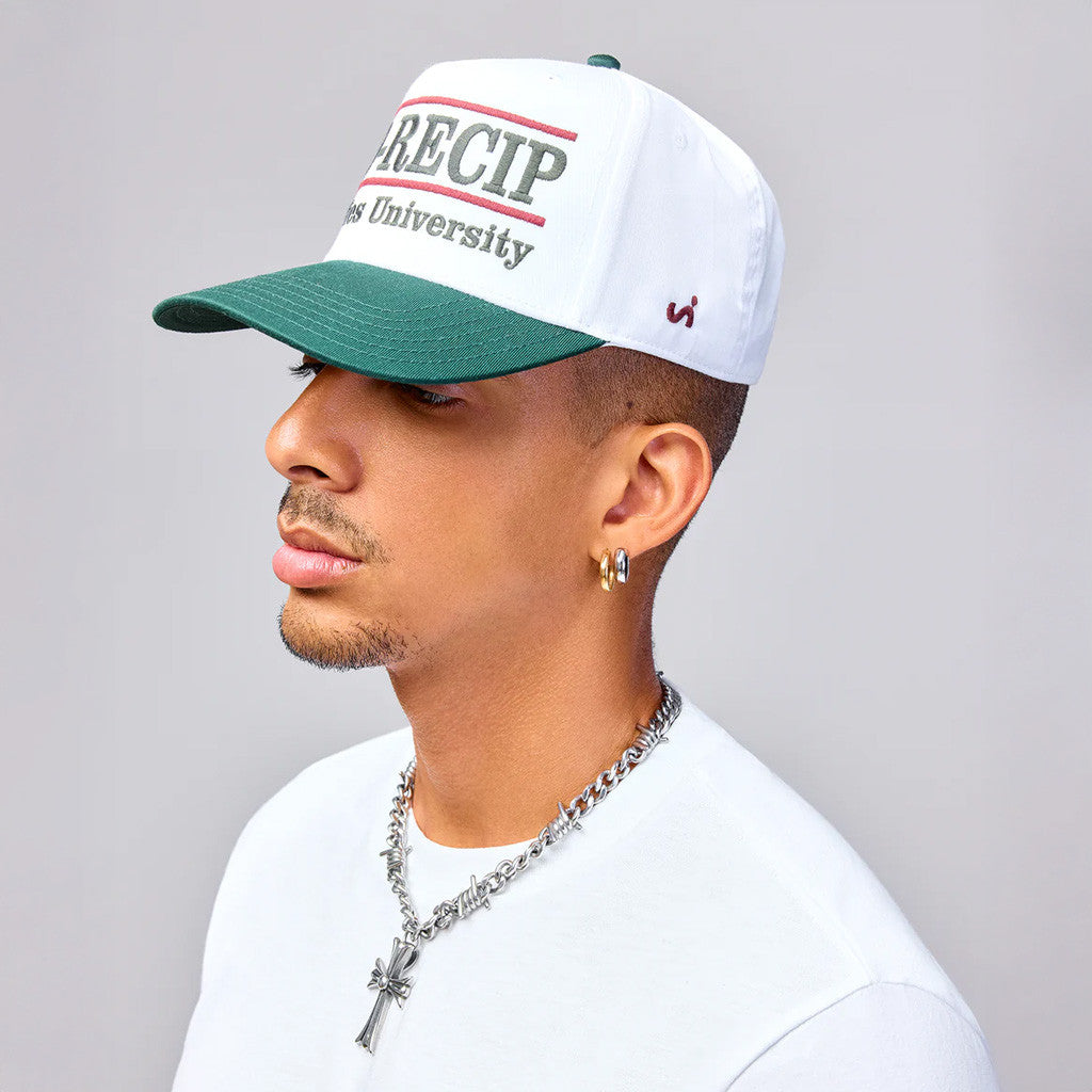 Sniffies Merch No Recip Sniffies University Embroidered Hat Gifts For Dudes - Lilybirchmarket