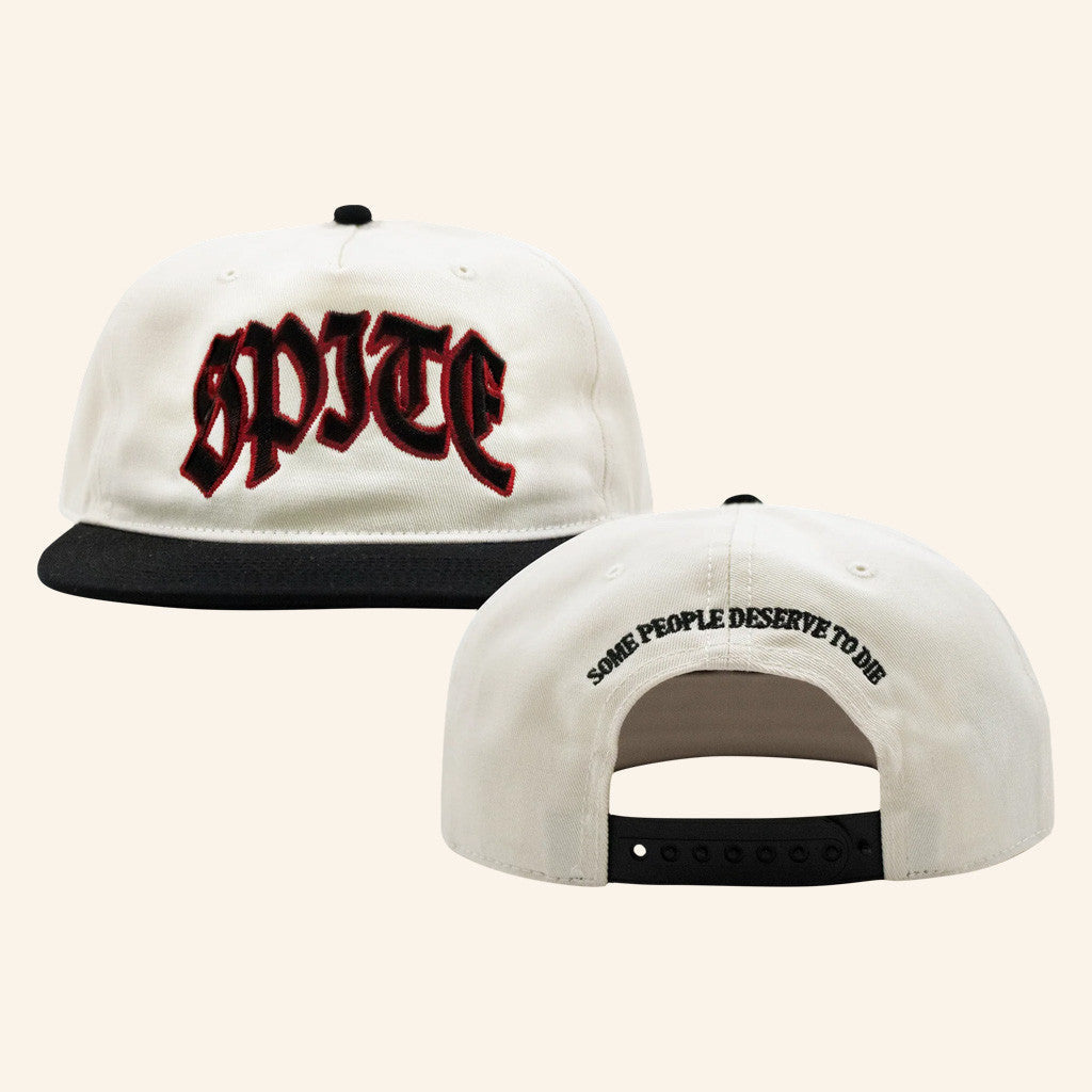 Spite Merch Some People Deserve To Die Embroidered Snapback Hat Gifts For Him - Lilybirchmarket