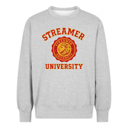 Streaming University Merch Streaming University Sweatshirt Cool Gifts For Dad - Lilybirchmarket