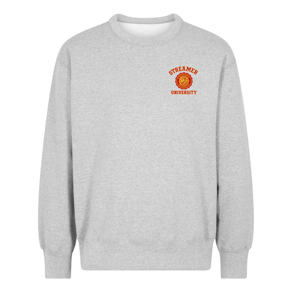Streaming University Merch Streaming University Sweatshirt Father's Day Gifts - Lilybirchmarket