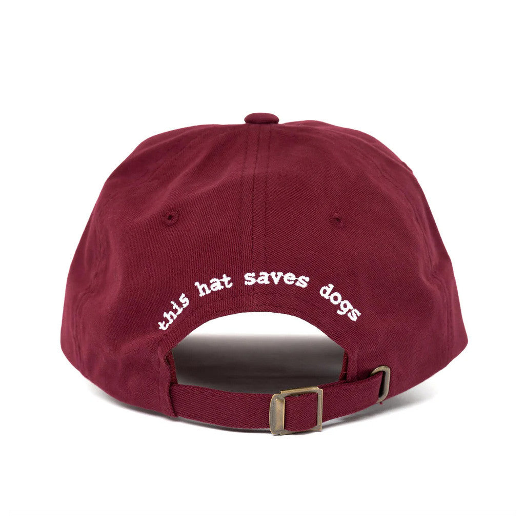 Tell Your Dog I Said Hi Merch Embroidered Tell Your Dog I Said Hi Hat Christmas Gifts For Him - Lilybirchmarket