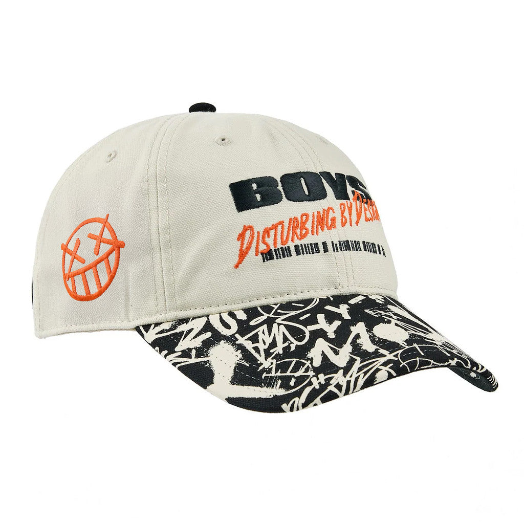 The Boys Merch Standard Issue Embroidered Hat Birthday Gift Ideas For Dad - Lilybirchmarket
