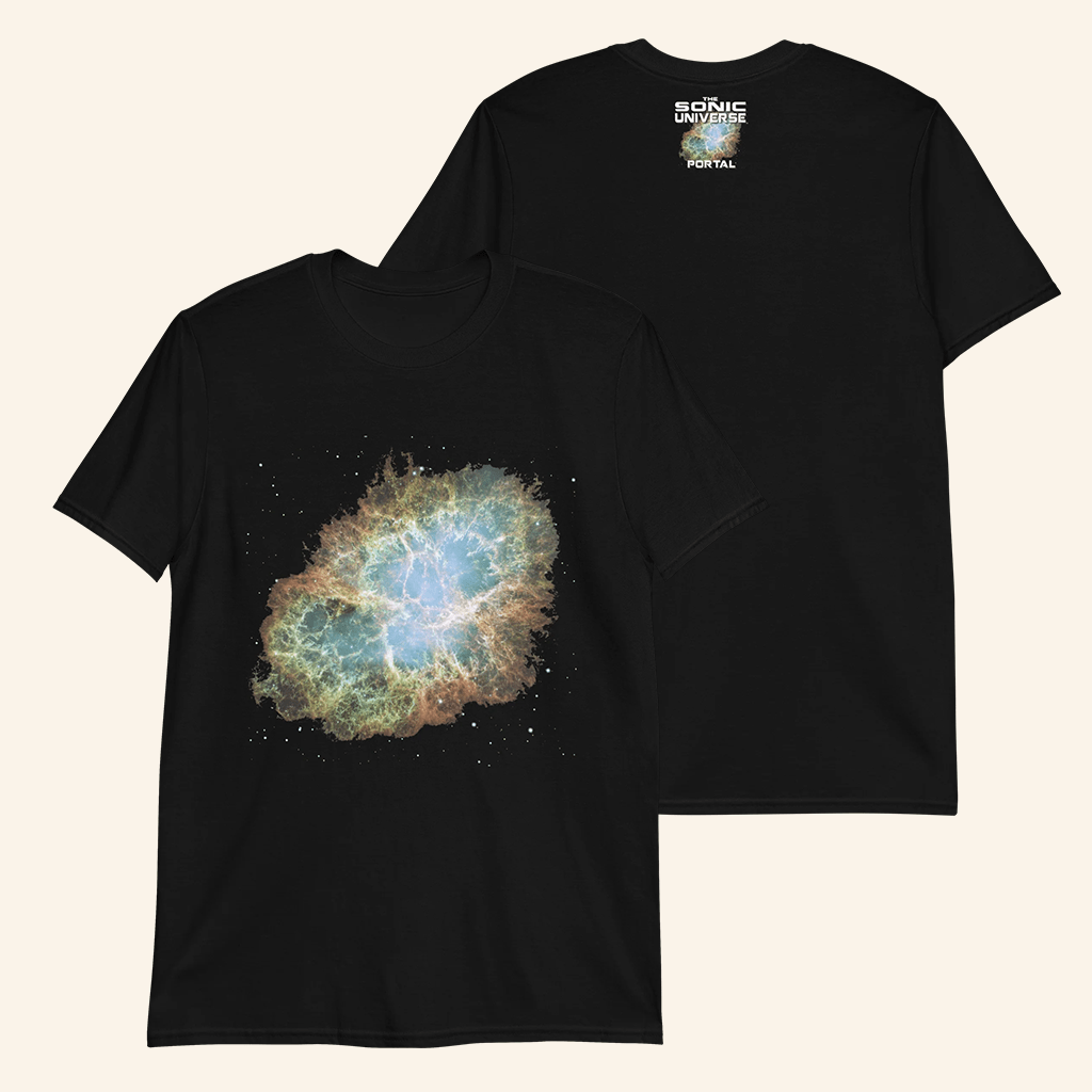 The Sonic Universe Official Merch TSU Portal T-Shirt Black Gifts For Him Her - Lily Birch Market