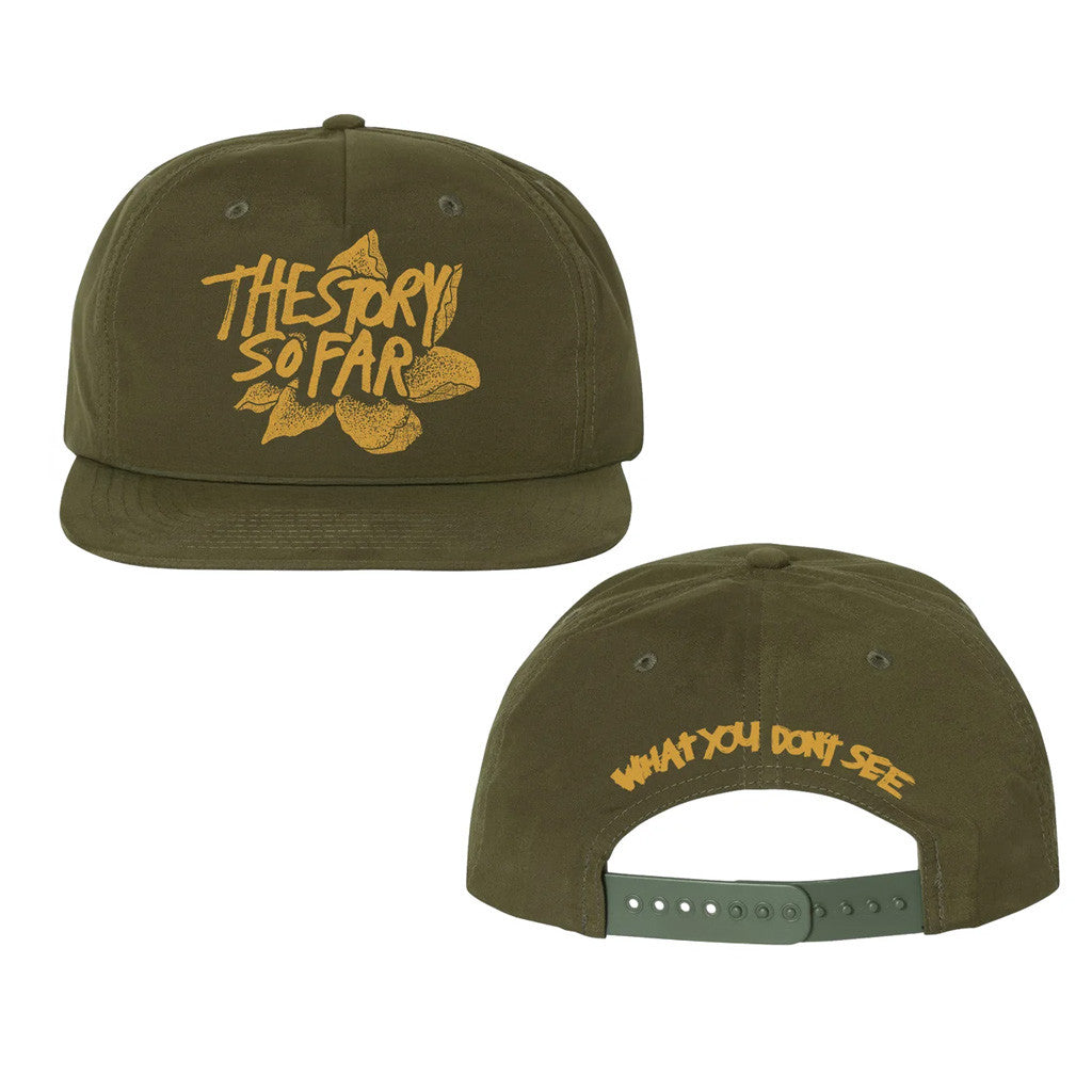 The Story So Far Merch What You Don't See Snapback Hat Gifts For Pop Band Fans - Lilybirchmarket