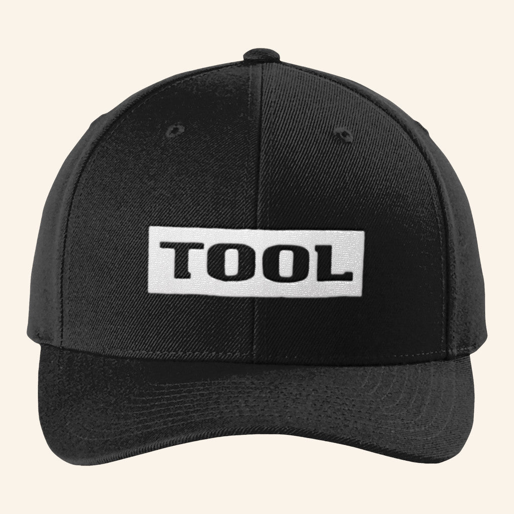 Tool Merch Embroidered AENIMA Logo Hat Birthday Gift For Husband - Lilybirchmarket