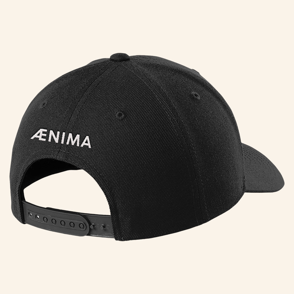 Tool Merch Embroidered AENIMA Logo Hat Birthday Gift For Husband - Lilybirchmarket