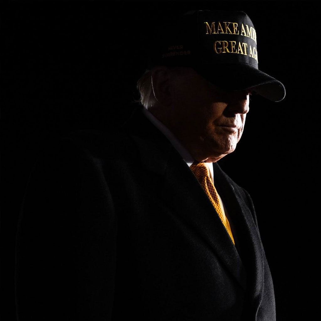 Trump Gold Dark MAGA Hat Elon Musk MAGA Hat Never Surrender Donald Trump 2024 Merchandise - Lilybirchmarket