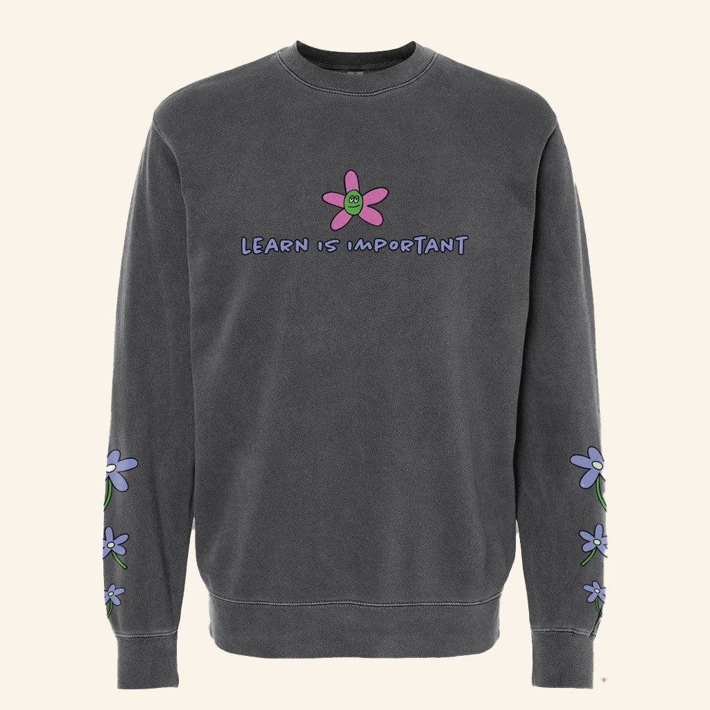 Try Guys Merch Learn Is Important Sweatshirt Best Gifts For Sisters - Lilybirchmarket