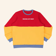 Trying My Best Sweatshirt Best Gifts For Girlfriend - Lilybirchmarket