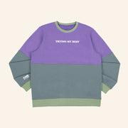 Trying My Best Sweatshirt Gifts For Friends - Lilybirchmarket