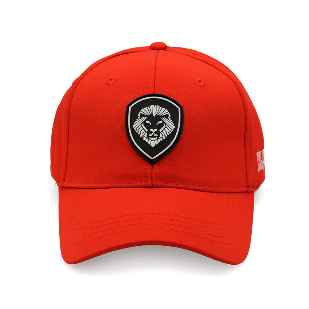 Valuetainment Merch Embroidered Lion Shield Logo Hat The Future Looks Bright Cap Gifts For Him - Lilybirchmarket