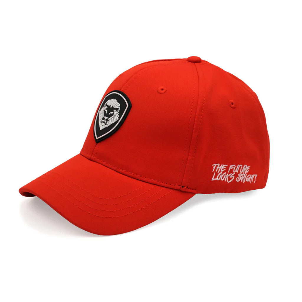 Valuetainment Merch Embroidered Lion Shield Logo Hat The Future Looks Bright Cap Gifts For Him - Lilybirchmarket