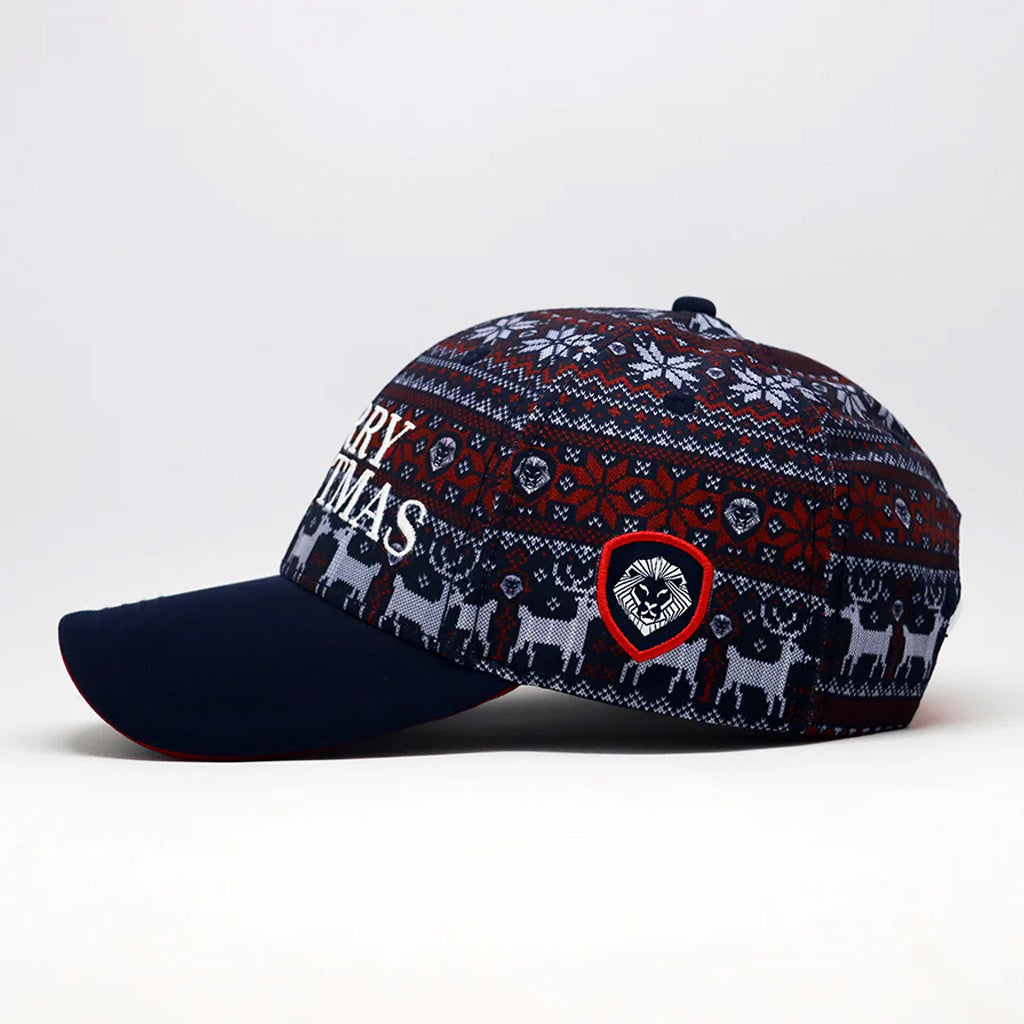 Valuetainment Merch Future Looks Bright Holiday Pattern Embroidered Hat Merry Christmas Hat - Lilybirchmarket