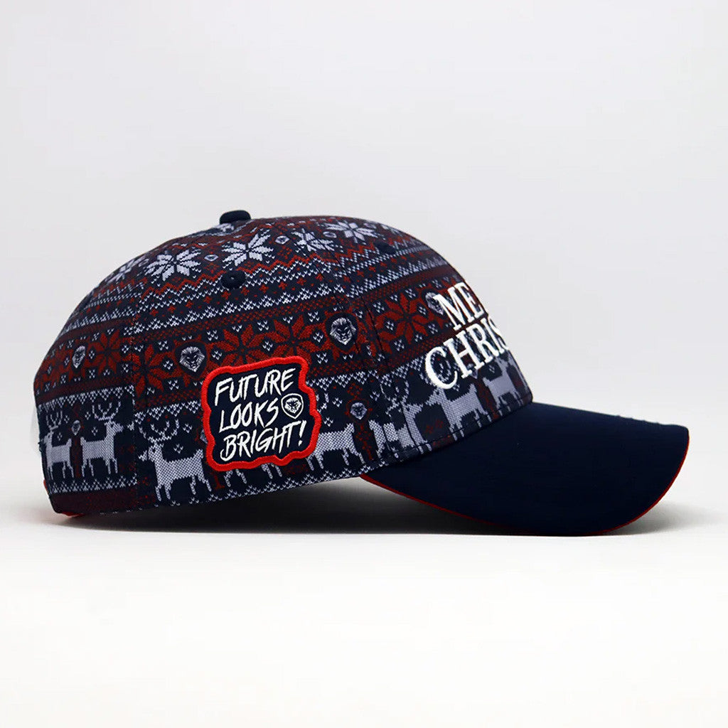 Valuetainment Merch Future Looks Bright Holiday Pattern Embroidered Hat Merry Christmas Hat - Lilybirchmarket
