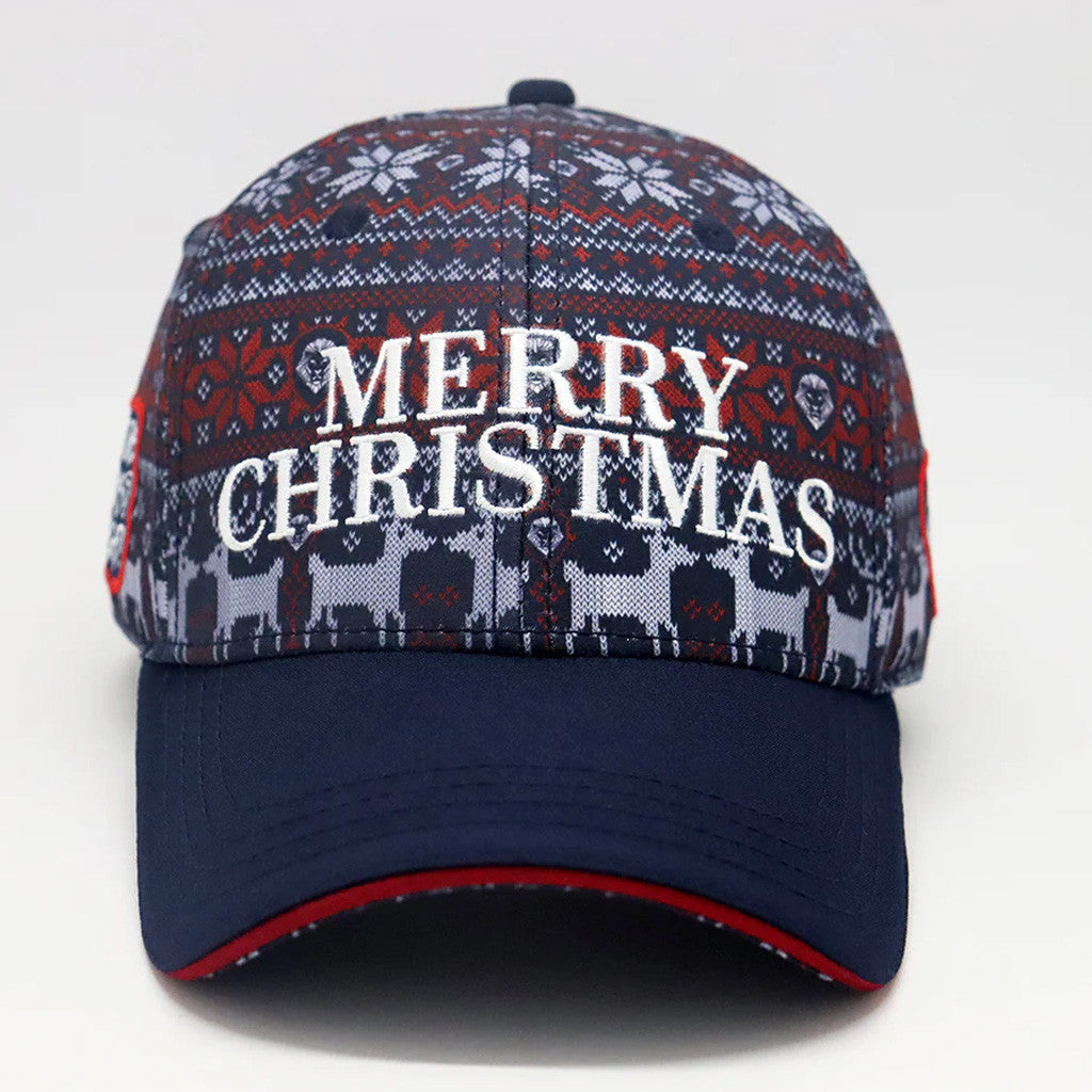 Valuetainment Merch Future Looks Bright Holiday Pattern Embroidered Hat Merry Christmas Hat - Lilybirchmarket