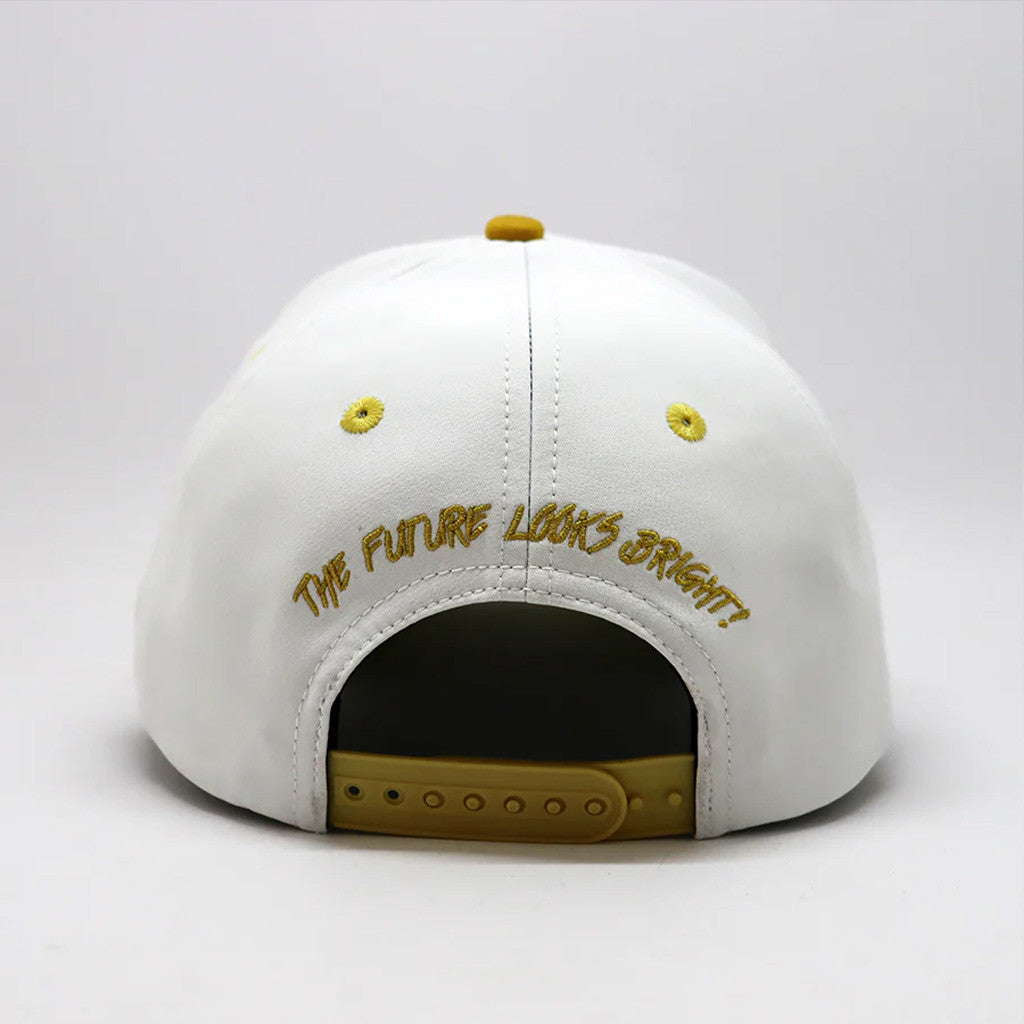 Valuetainment Merch Lion Shield The Future Looks Bright Embroidered Hat Gifts For Dad - Lilybirchmarket