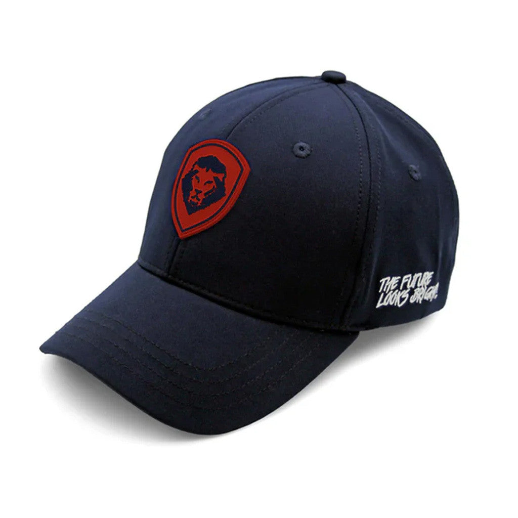 Valuetainment Merch The Future Looks Bright Embroidered Hat Gifts For Brother - Lilybirchmarket