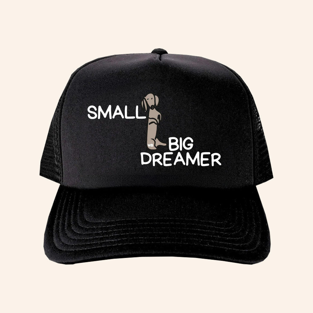 Whiskey Biz Merch Small Big Dreamer Trucker Hat Gifts For Dad - Lilybirchmarket