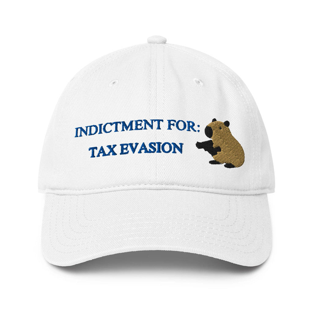 Whistlin Diesel Merch Embroidered Tax Evasion Hat Birthday Gift For Husband - Lilybirchmarket