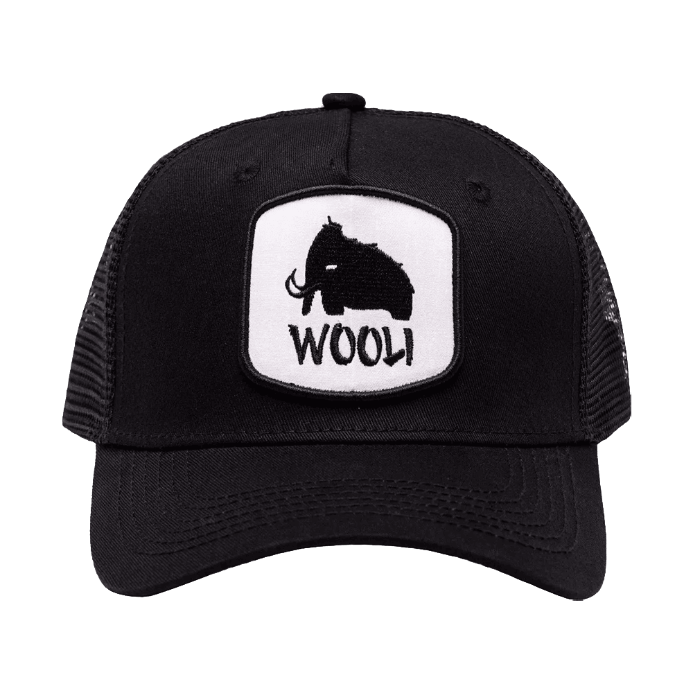 Wooli Merch Wooli Trucker Hat Father In Law Gifts Dad's Day - Lilybirchmarket