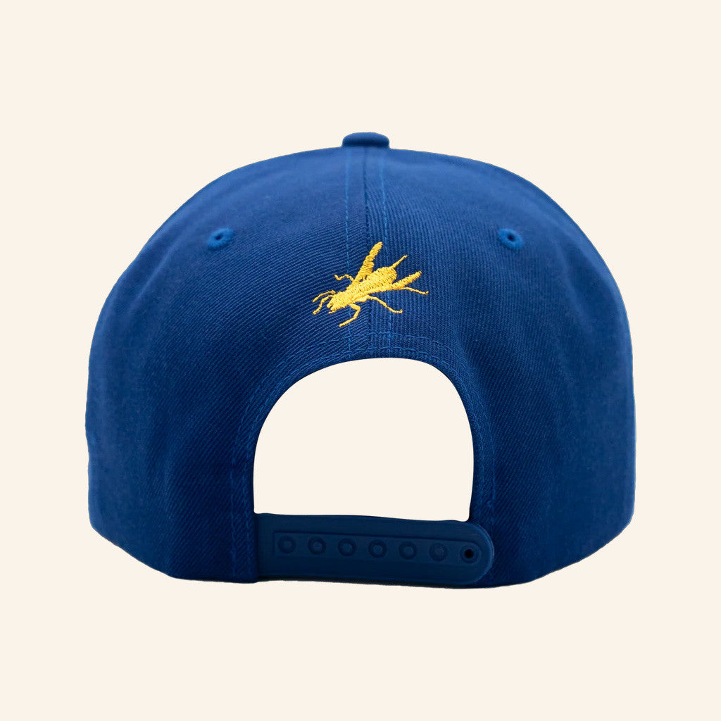 Wu Tang Merch Nuthin To F Wit Snapback Hat Embroidered Wu Tang Hat Gifts For Father - Lilybirchmarket