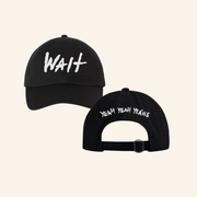 Yeah Yeah Yeahs Merch Wait Hat Gifts For Father - Lilybirchmarket